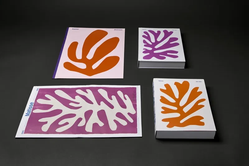 matisse_14_resultat.webp matisse_14_resultat.webp