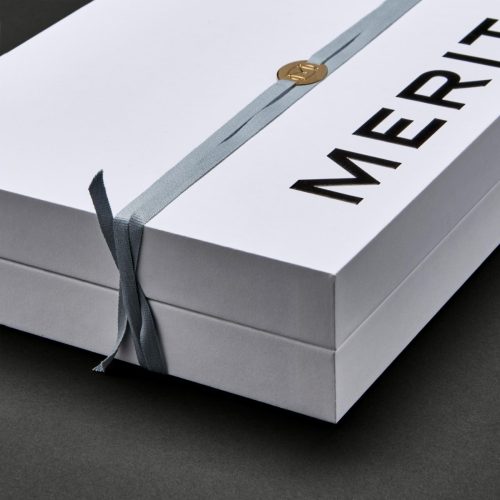 merit 6-vtech